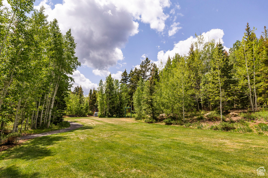 View of grassy yard