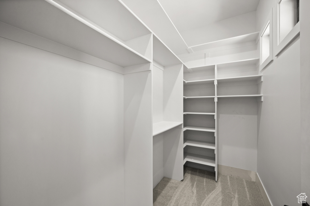 Walk in closet featuring carpet