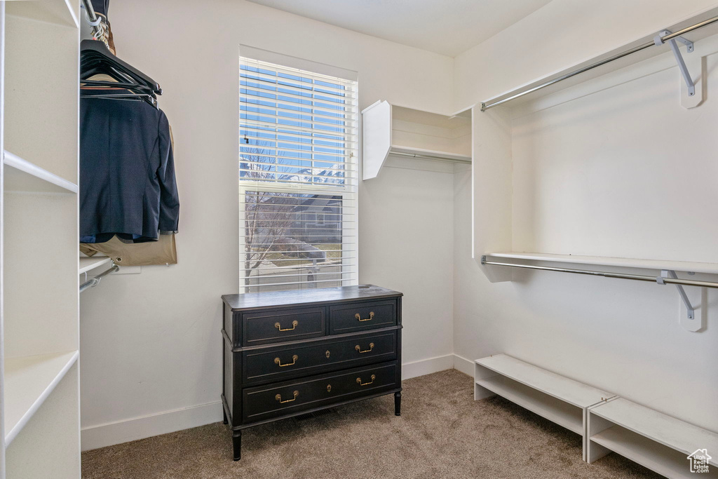 Walk in closet with carpet flooring