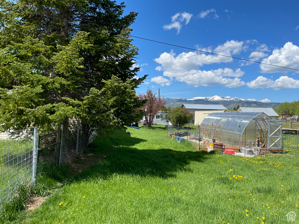 View of yard featuring a greenhouse and an outbuilding