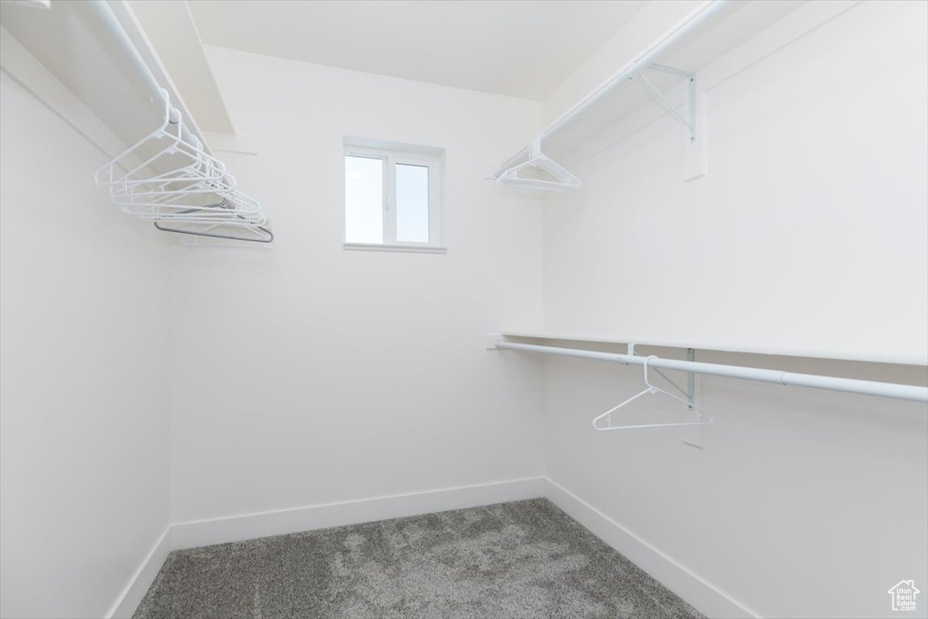 Spacious closet with carpet floors