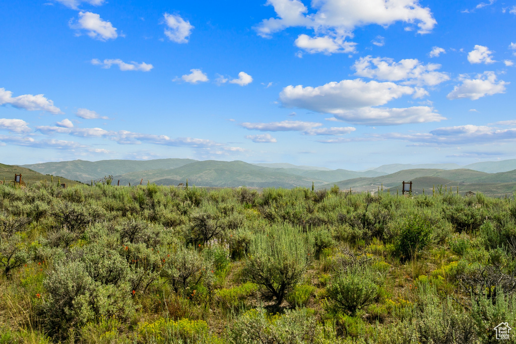 View of mountain background