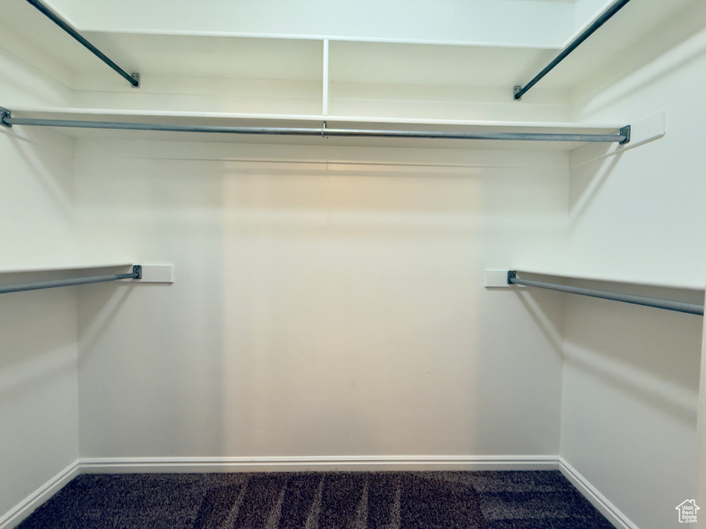 Spacious closet featuring carpet floors