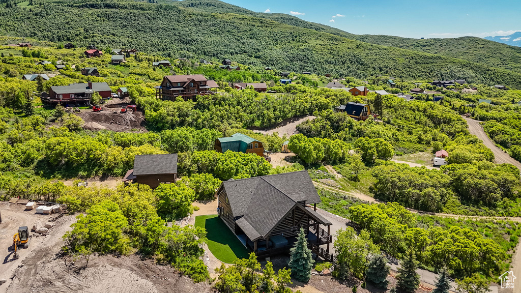Bird\'s eye view of a mountainous background