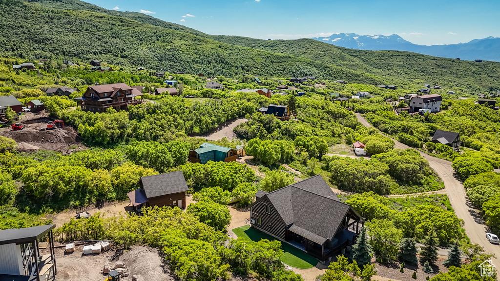 Bird\'s eye view of a mountain backdrop