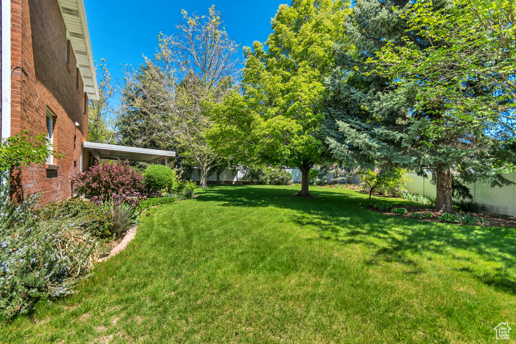 View of yard
