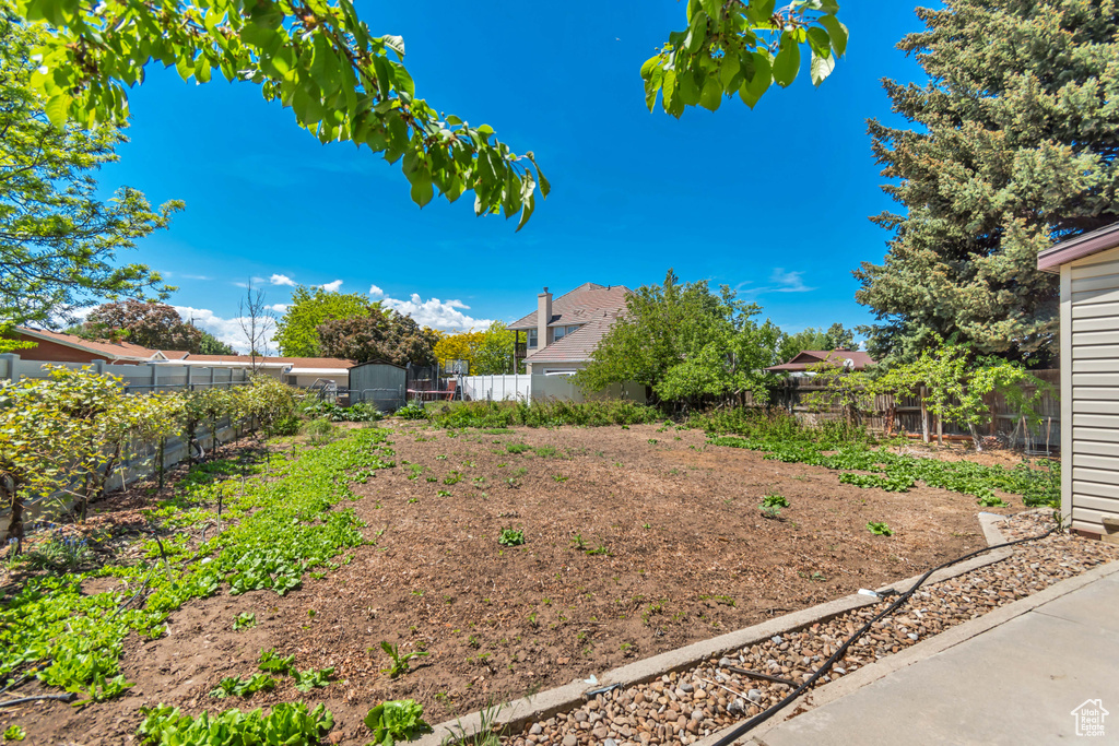 View of fenced backyard