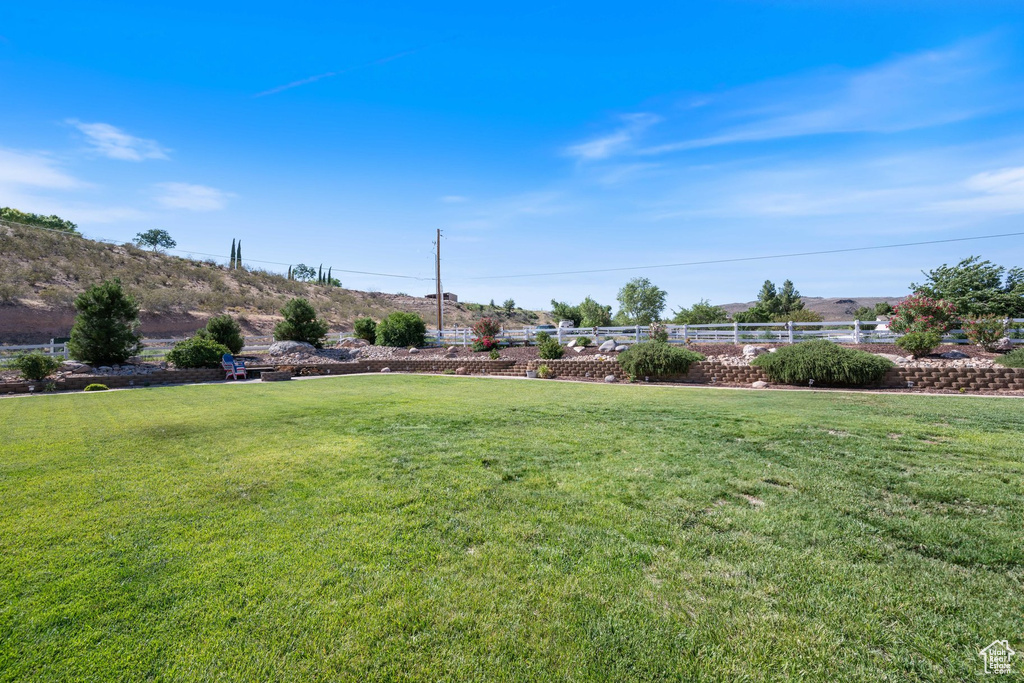 View of grassy yard