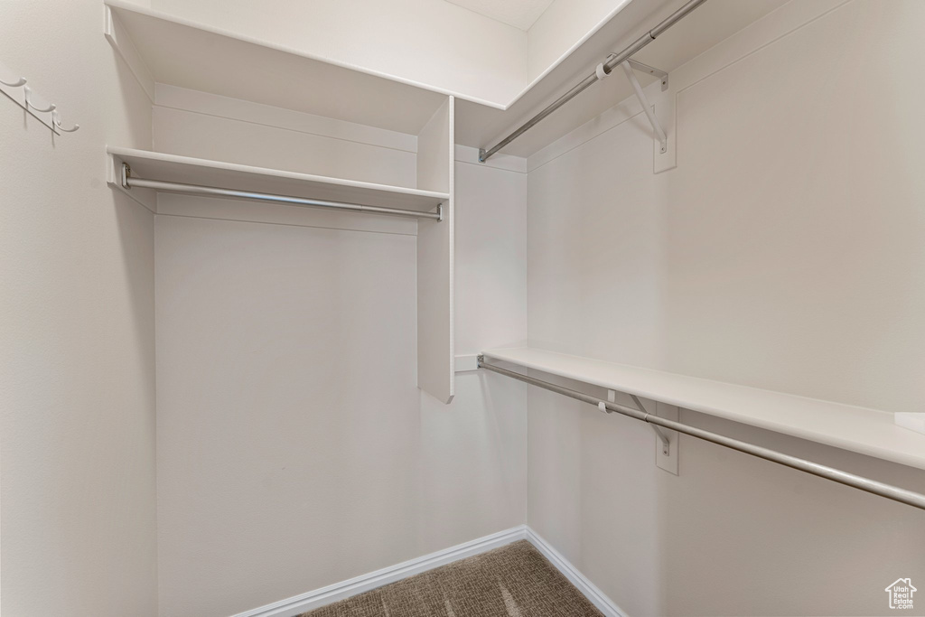 Spacious closet with carpet flooring