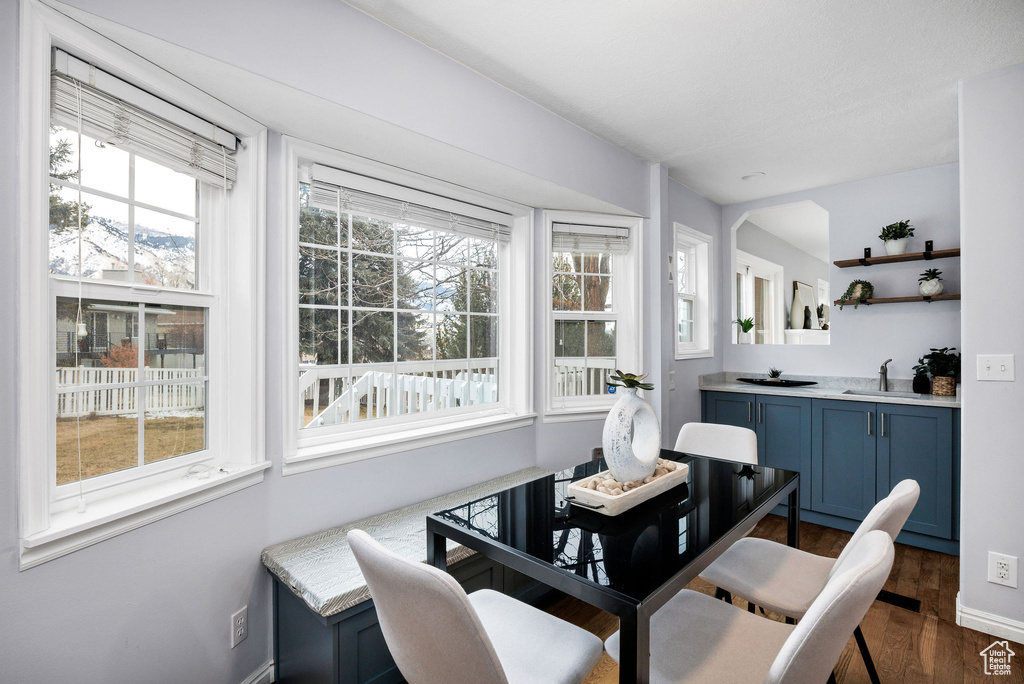Dining area with sink and dark hardwood / wood-style flooring