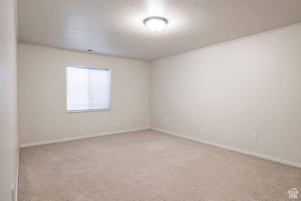Unfurnished room with crown molding, light colored carpet, and a textured ceiling