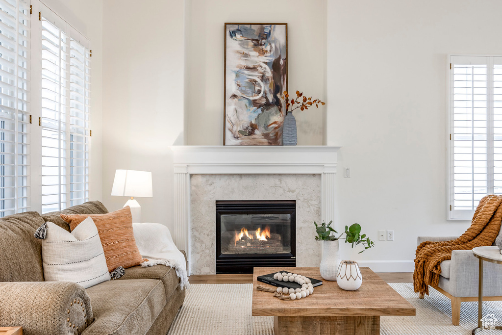 Living room with plenty of natural light, a high end fireplace, and light hardwood / wood-style floors