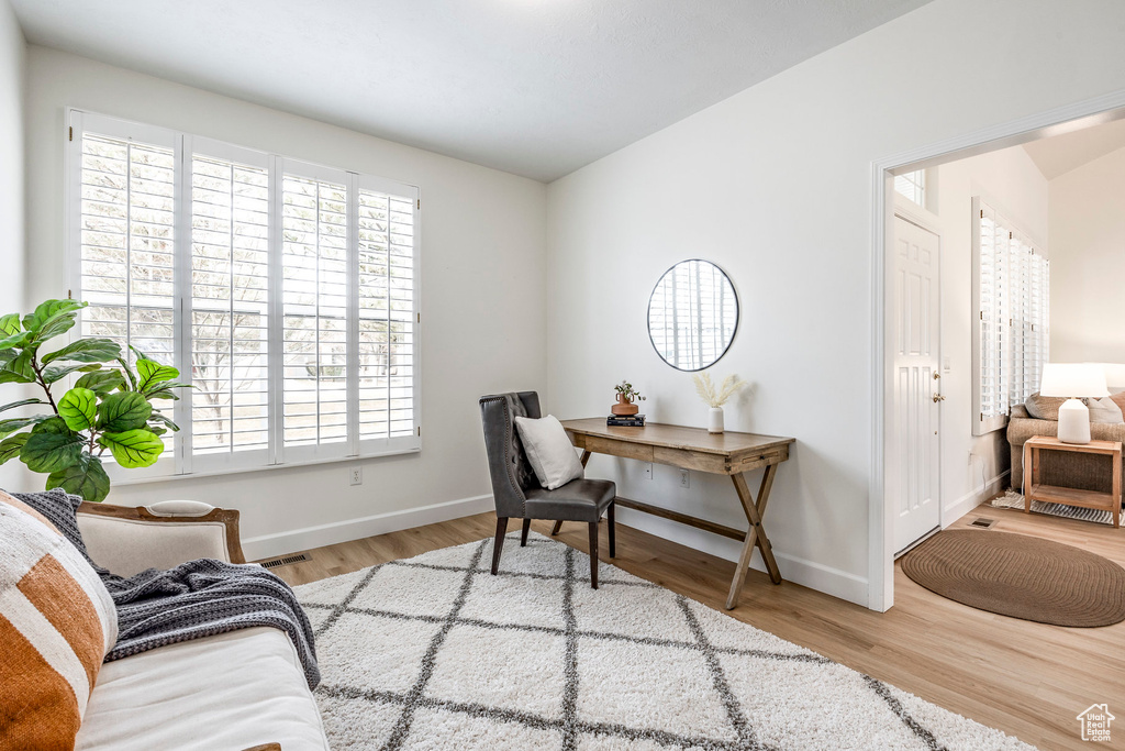 Office featuring a healthy amount of sunlight and light hardwood / wood-style flooring