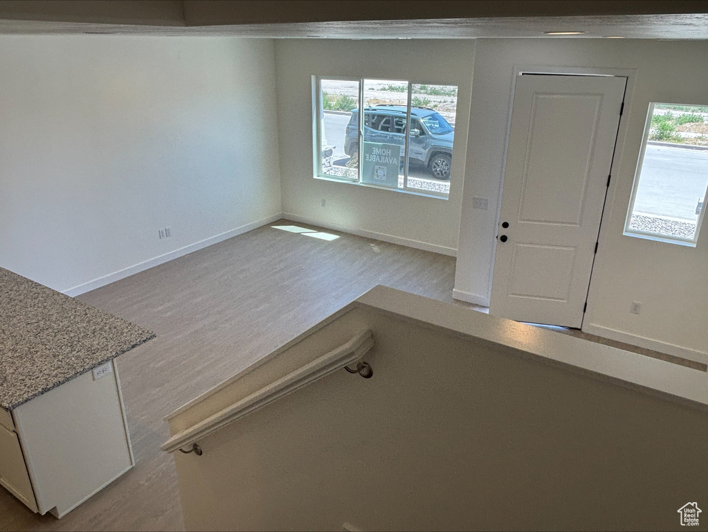 Entryway featuring wood finished floors and healthy amount of natural light