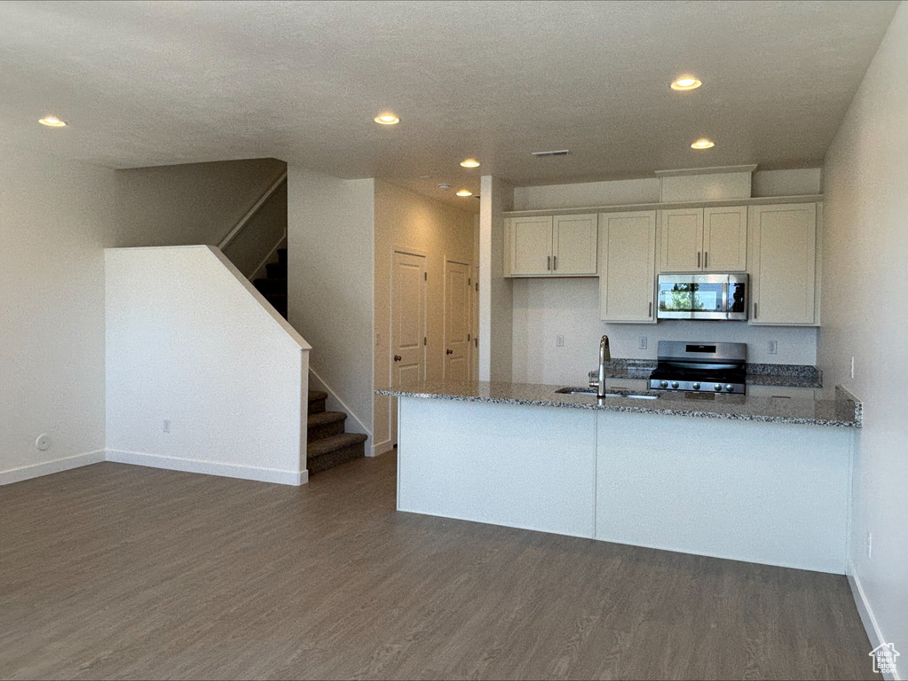 Kitchen with stainless steel appliances, stone countertops, dark wood finished floors, recessed lighting, and a peninsula