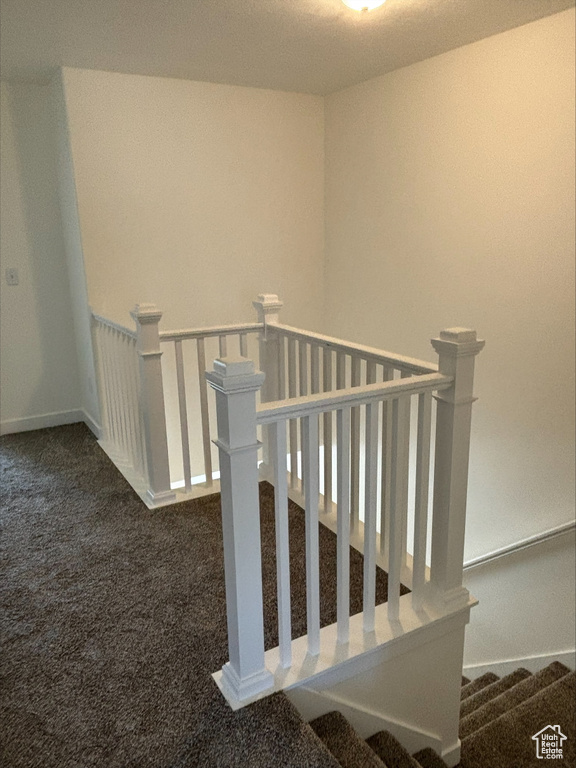 Stairs with carpet