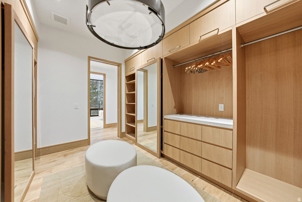 Spacious closet with light wood-style floors