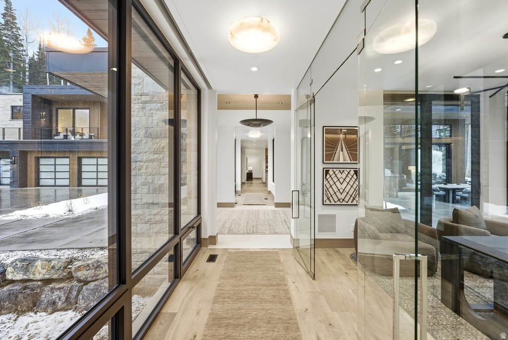 Hall featuring light wood-type flooring and plenty of natural light