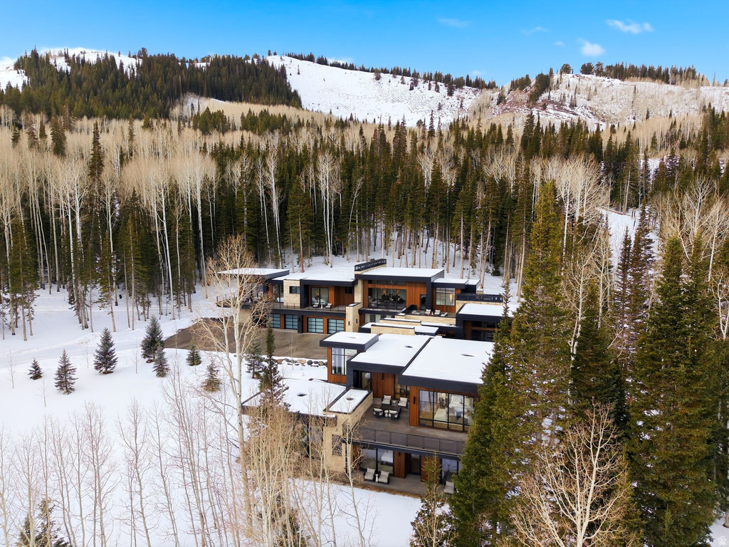 Snowy aerial view featuring a view of trees and a mountain view