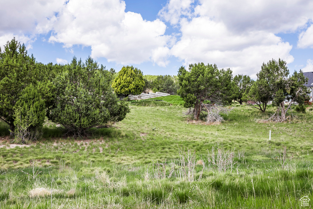 View of local wilderness featuring rural landscape