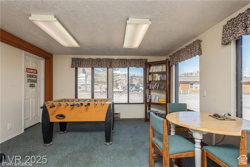 Game room with dark carpet, a textured ceiling, plenty of natural light, and a baseboard heating unit