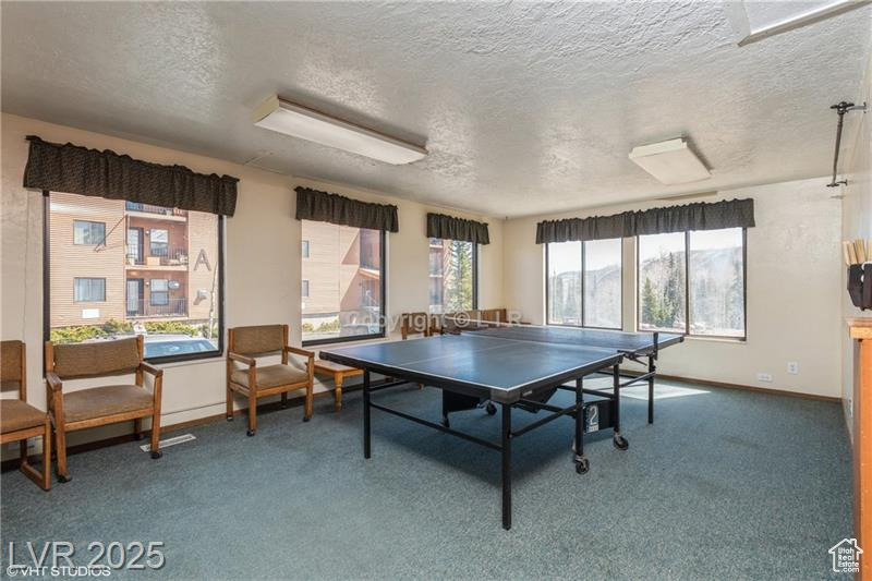 Game room featuring a textured ceiling and carpet floors