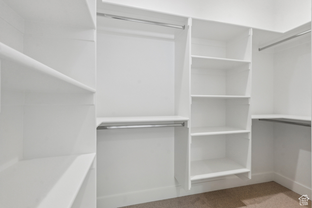 Walk in closet featuring carpet