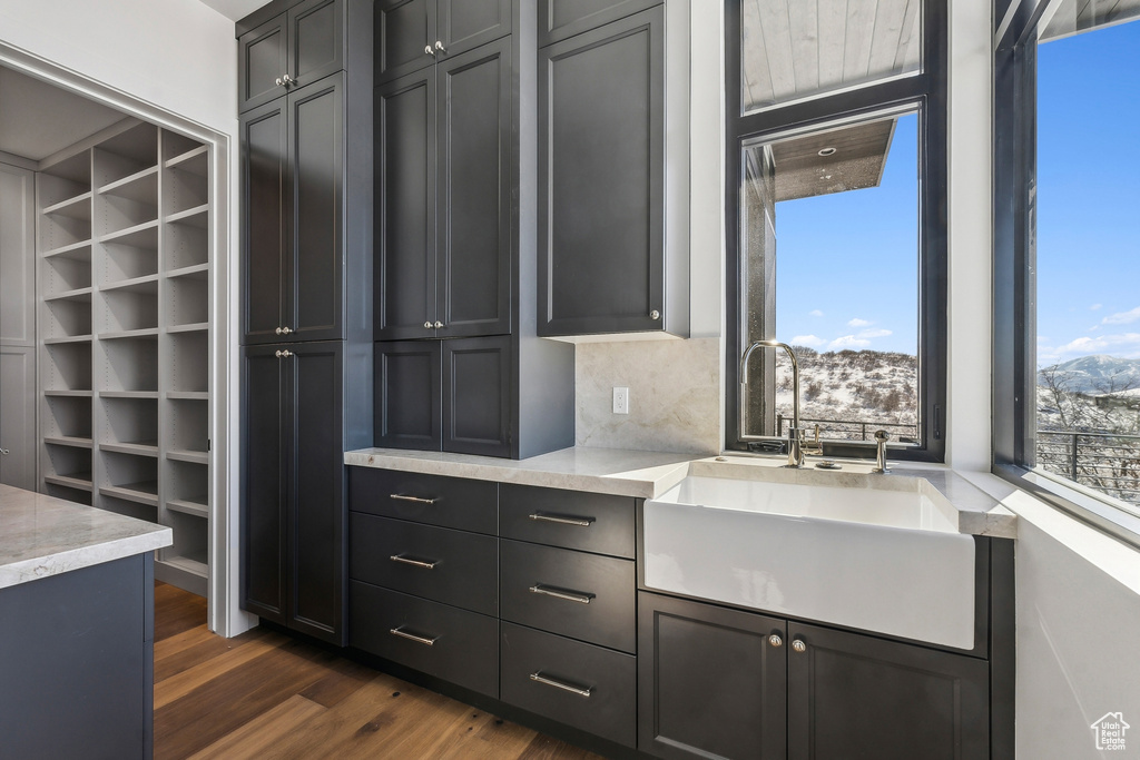 Spacious closet with a sink and dark wood-type flooring