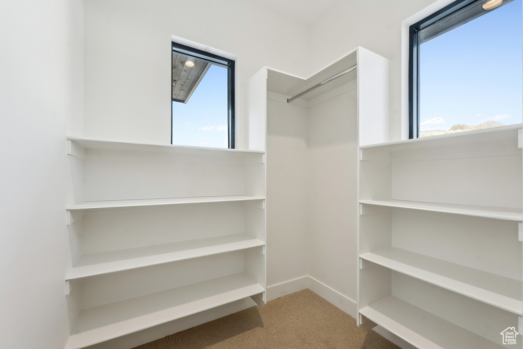 Walk in closet with carpet floors