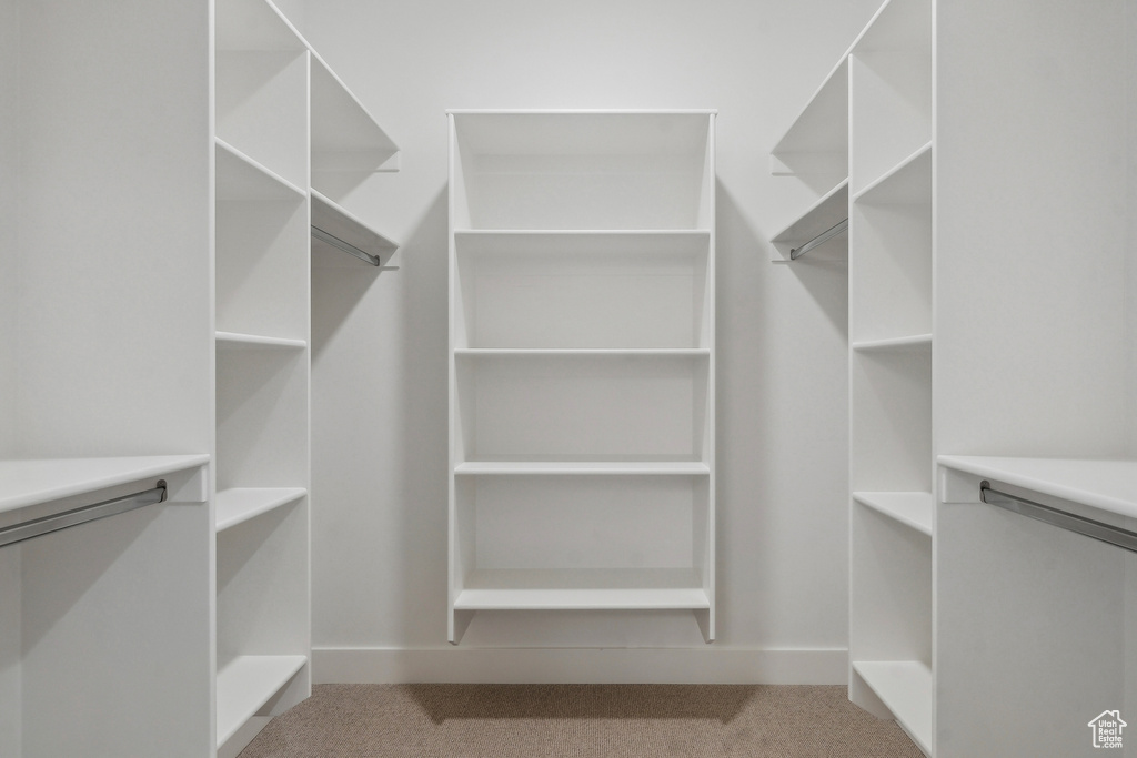 Spacious closet with carpet flooring
