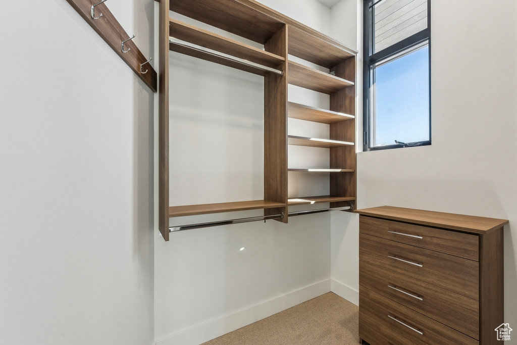 Walk in closet with carpet flooring