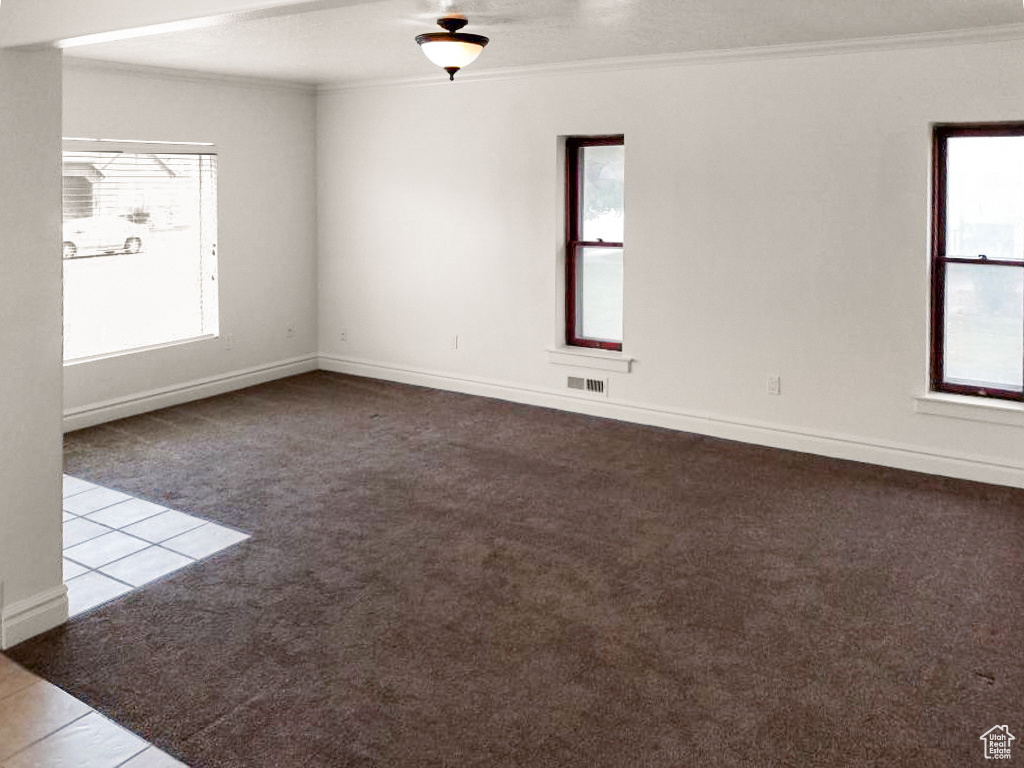 Spare room featuring ornamental molding and carpet floors