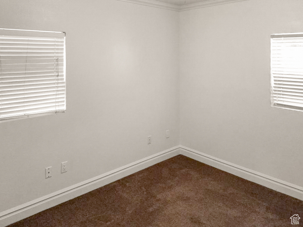 Empty room featuring ornamental molding and carpet flooring
