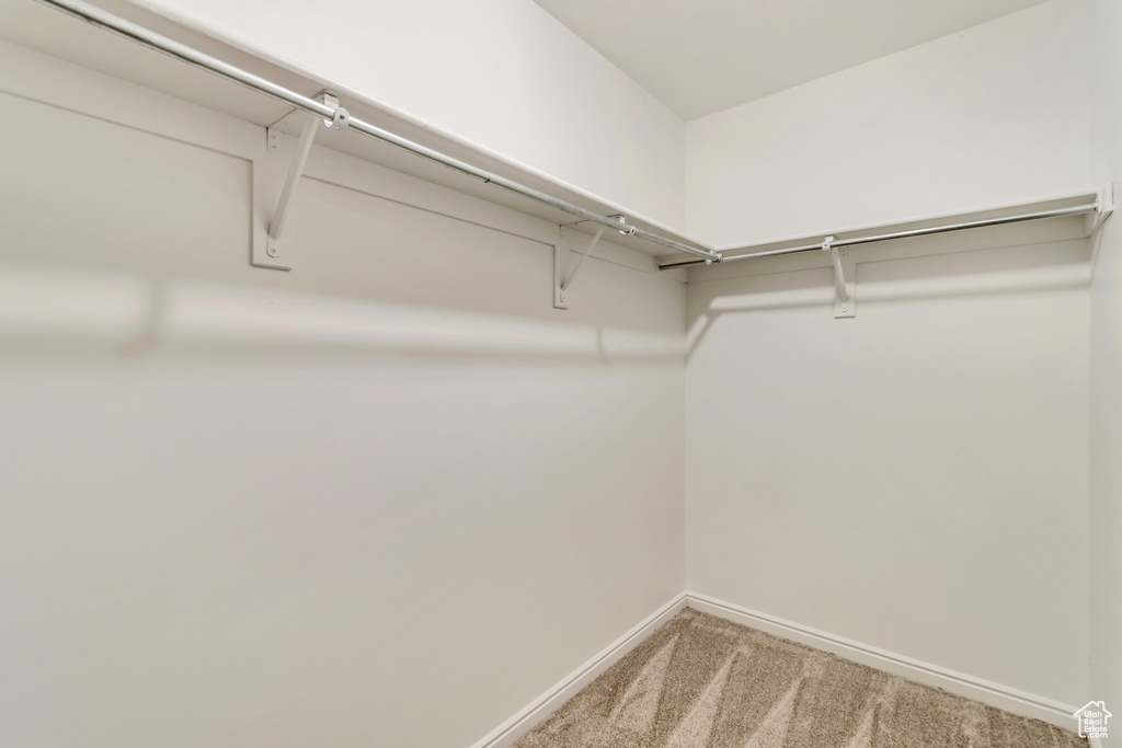 Spacious closet featuring carpet flooring