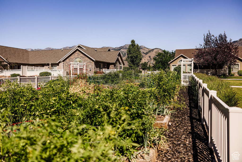 View of yard with a mountain view