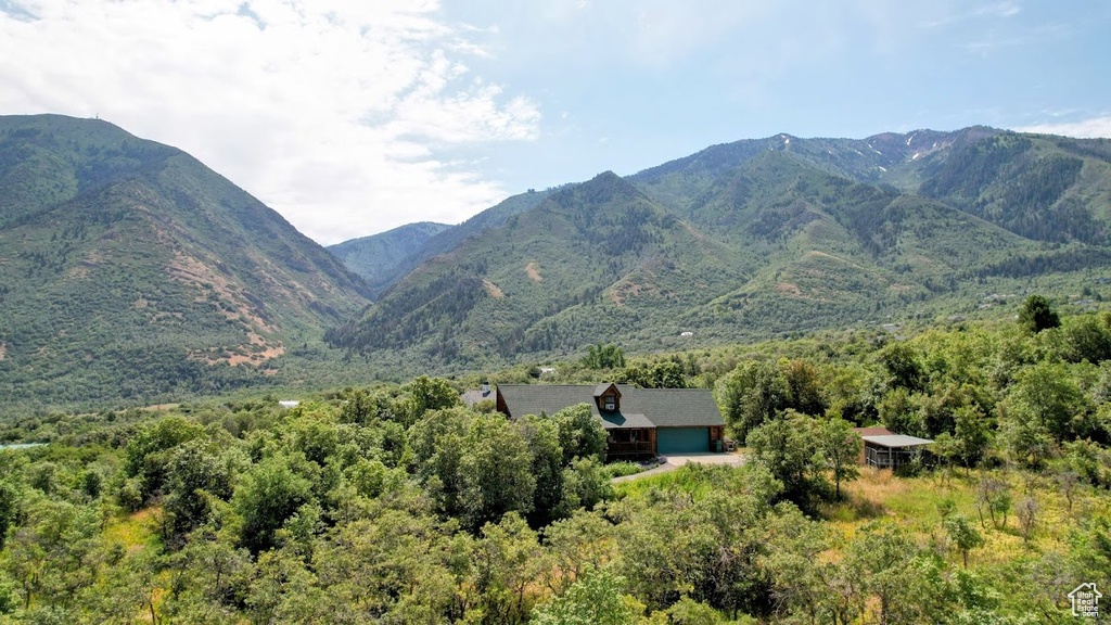 View of mountain background