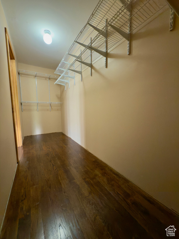 Walk in closet featuring hardwood / wood-style flooring