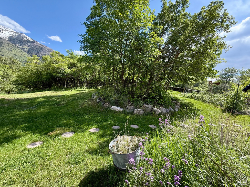 View of grassy yard with a mountain view