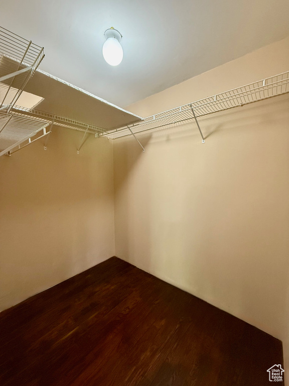 Spacious closet with dark wood-type flooring