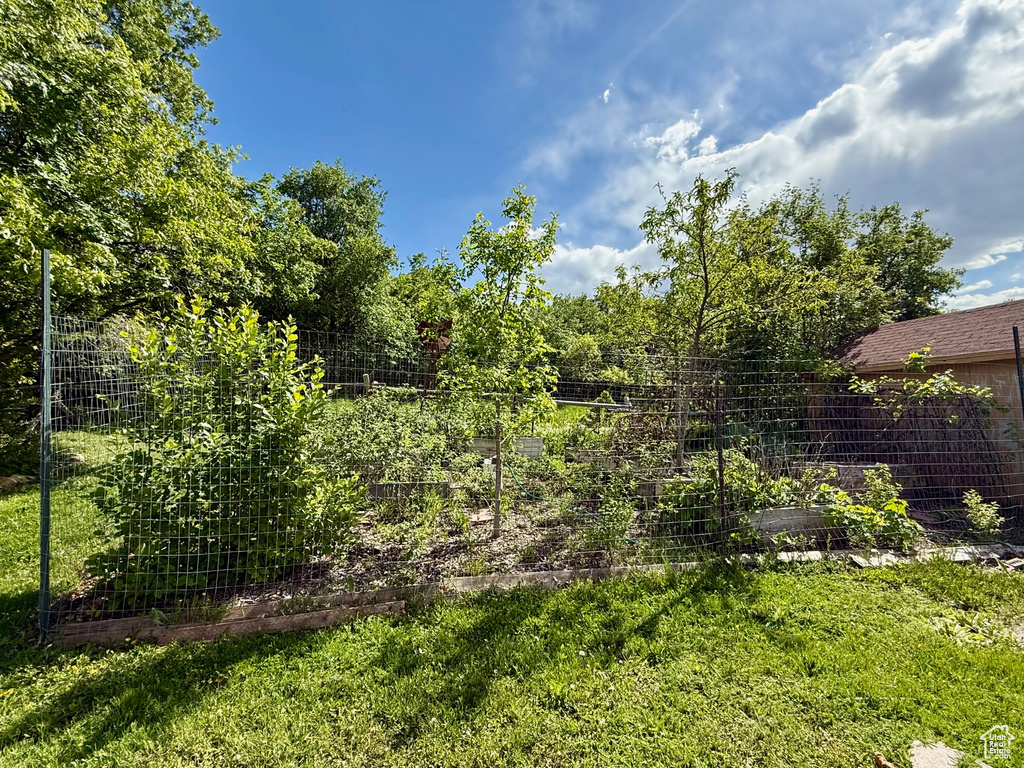 View of grassy yard with a garden