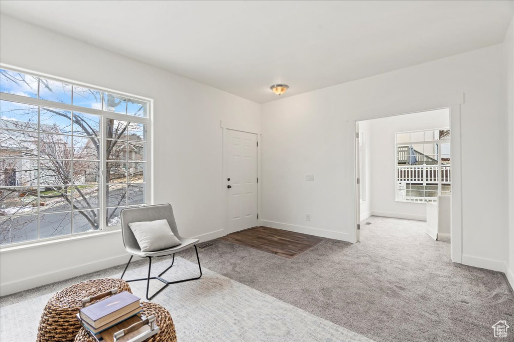 Unfurnished room with plenty of natural light and carpet flooring