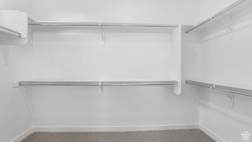 Spacious closet featuring carpet flooring