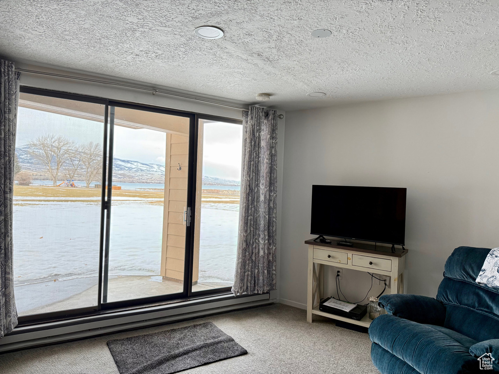 Living room featuring a baseboard heating unit, carpet floors, and a textured ceiling