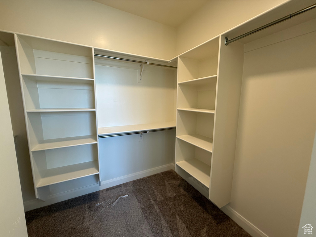 Walk in closet with dark carpet