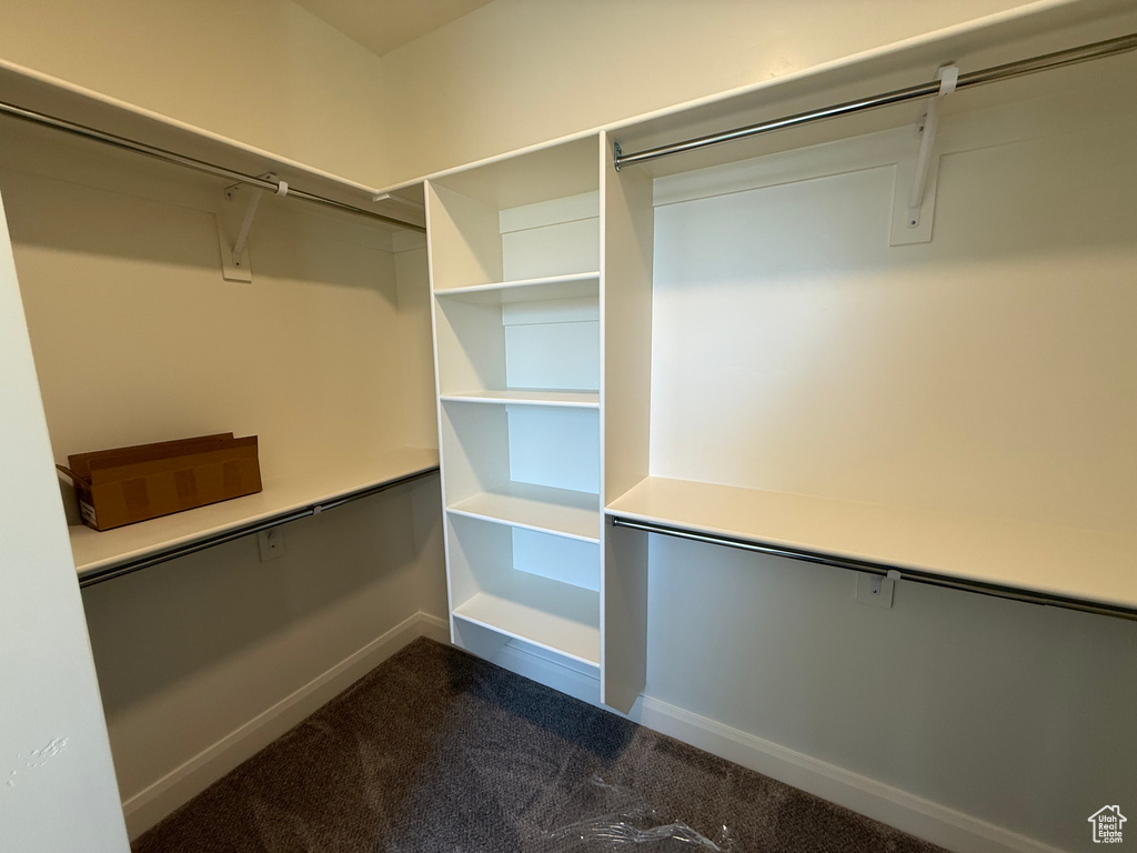Walk in closet featuring dark carpet