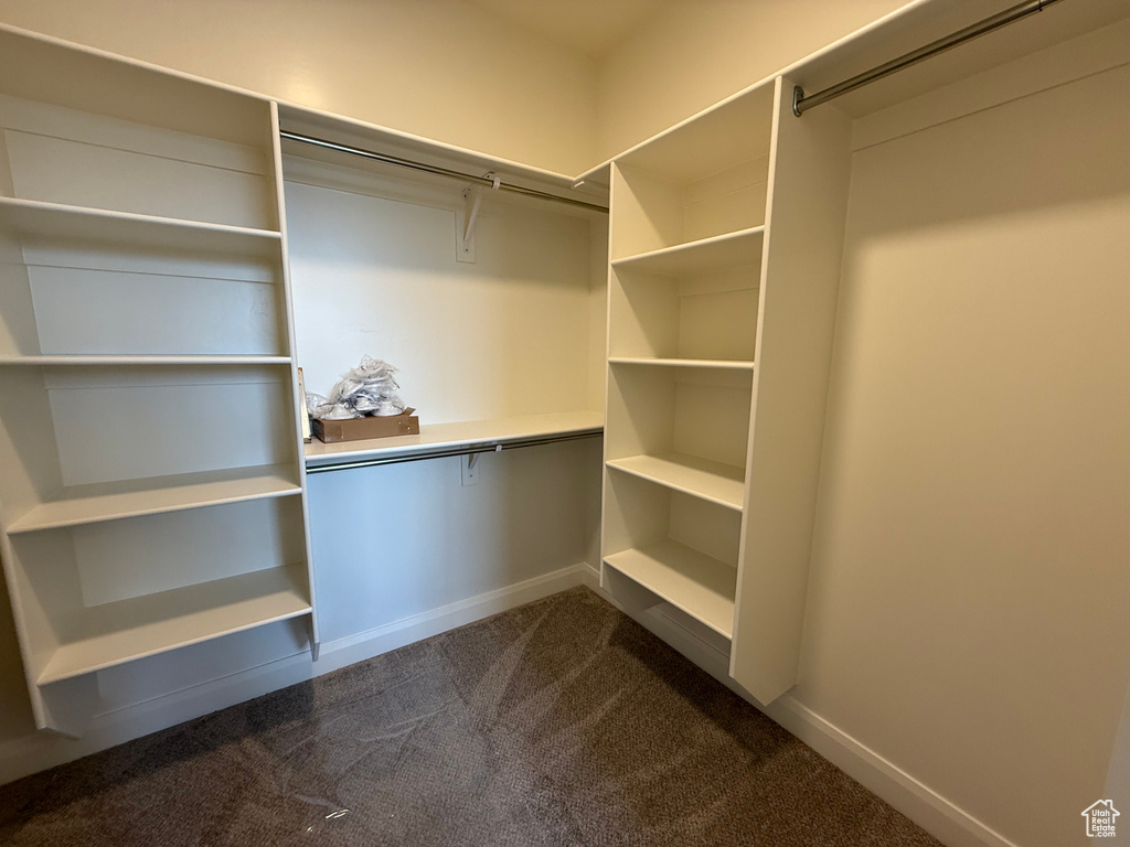 Walk in closet with dark colored carpet