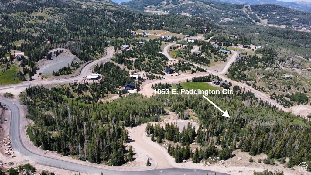1063 E PADDINGTON CIR Brian Head, UT 84719