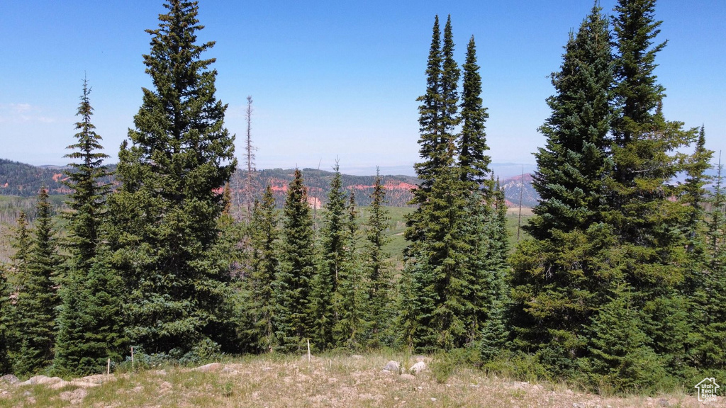 1063 E PADDINGTON CIR Brian Head, UT 84719