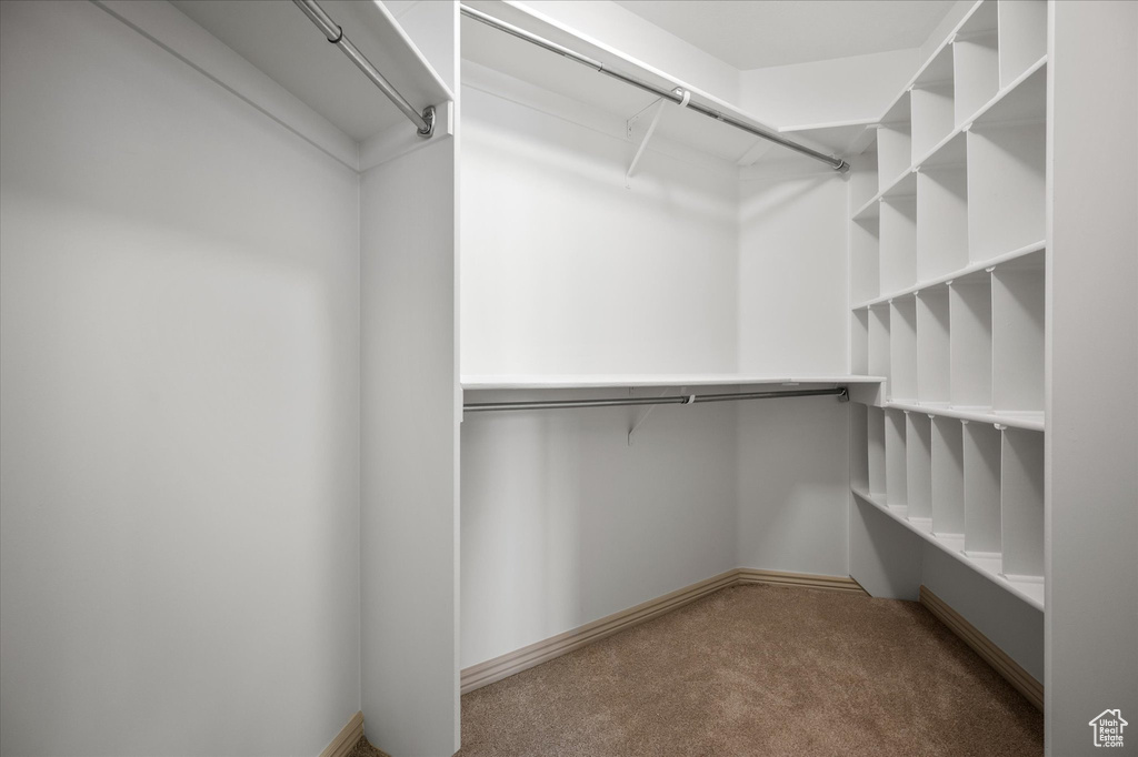 Walk in closet with carpet