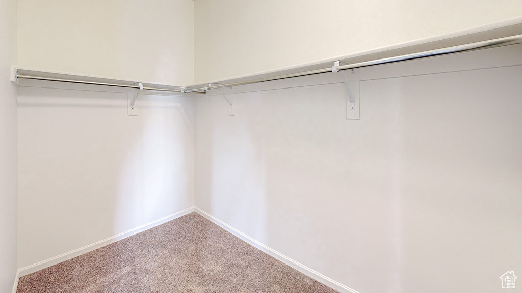 Walk in closet featuring carpet floors